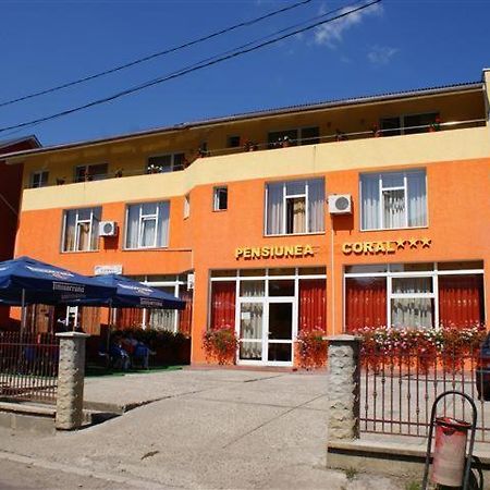 Pension Coral Baia Mare Exterior foto